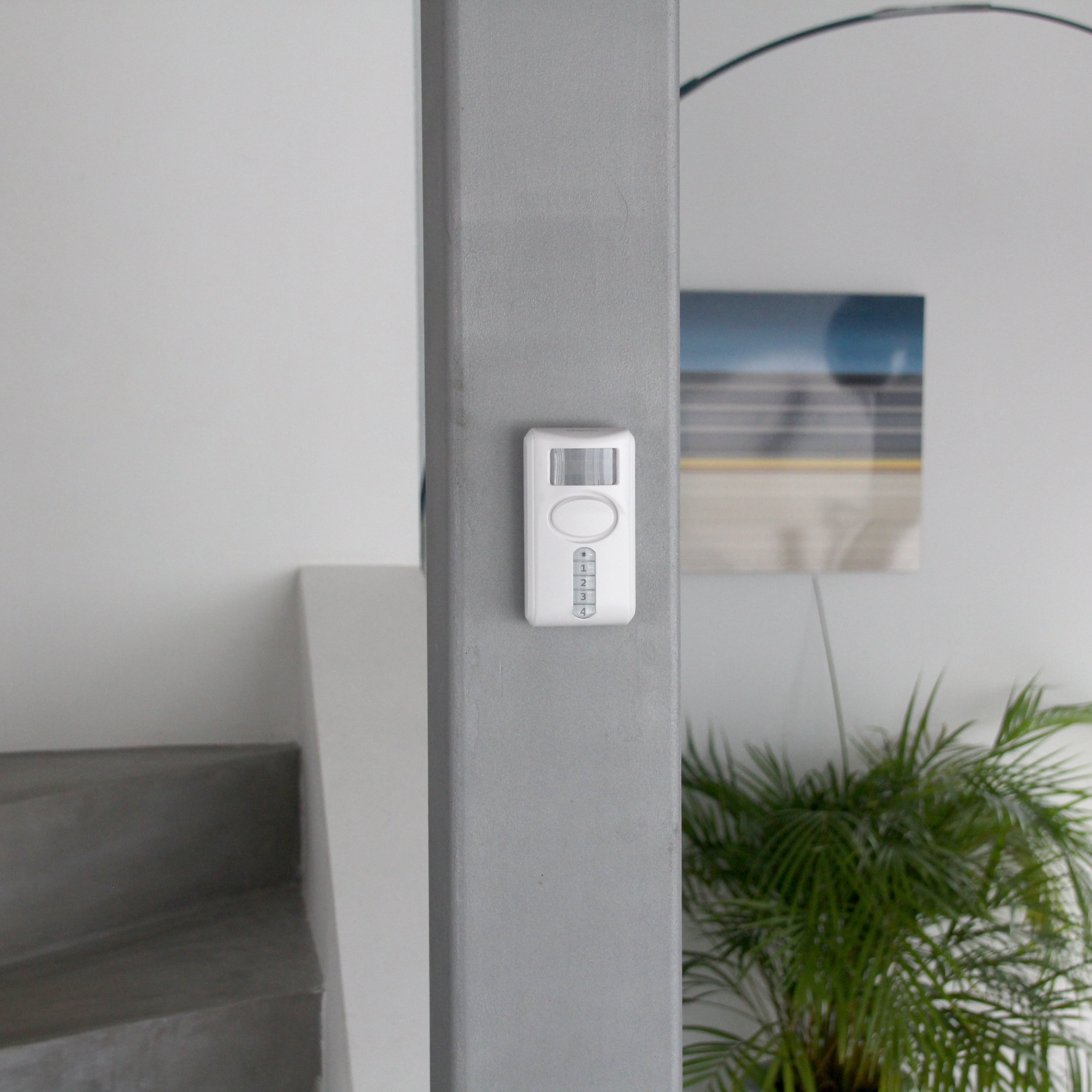 Bewegingsmelder met alarm en toetsenbord