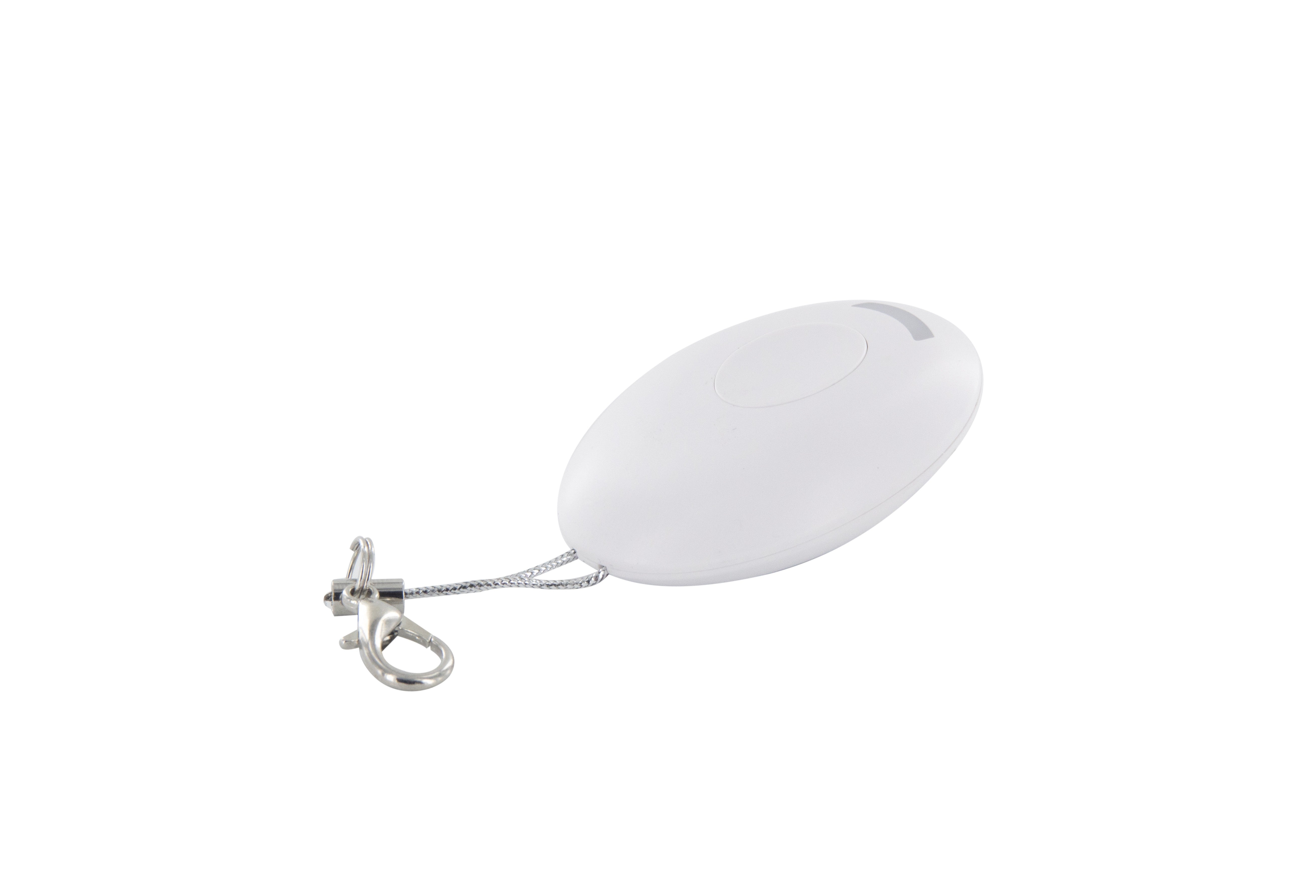 Keychain remote control