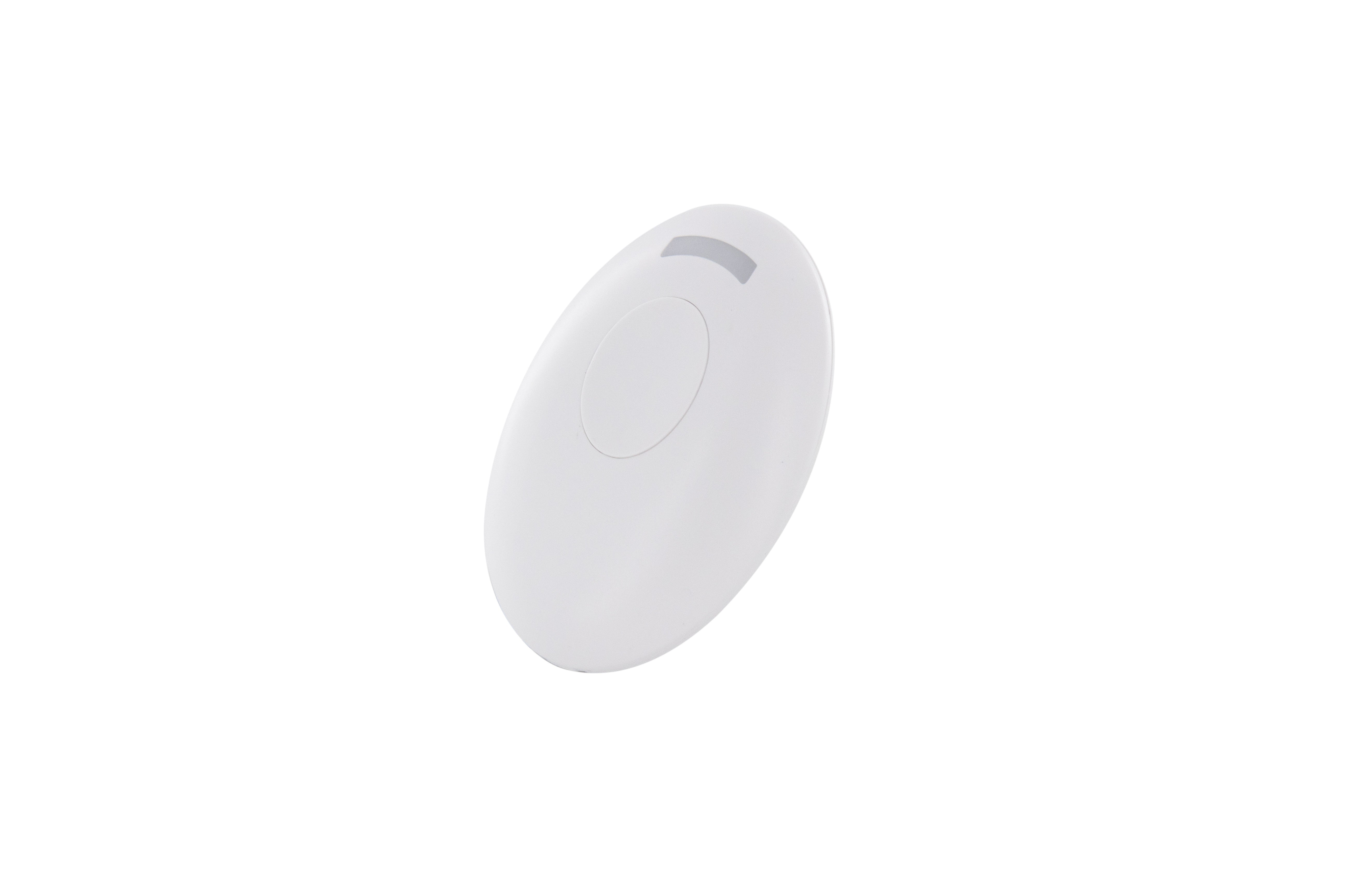 Keychain remote control