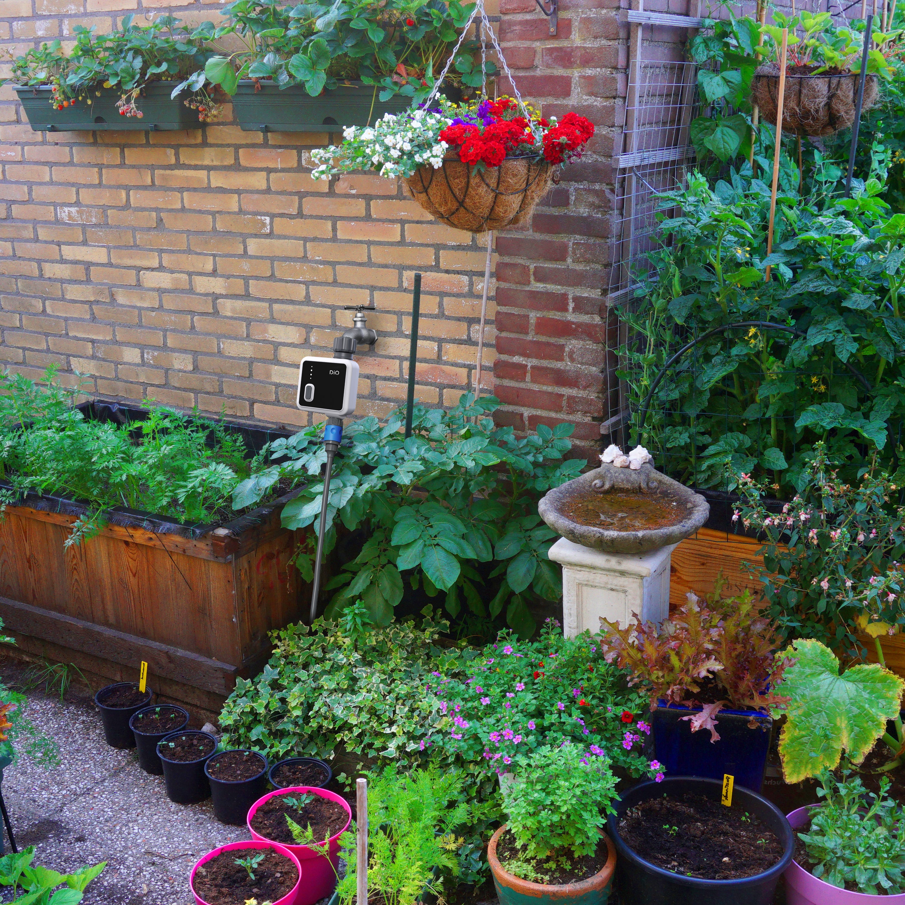 IA Wi-Fi 1-outlet watering programmer