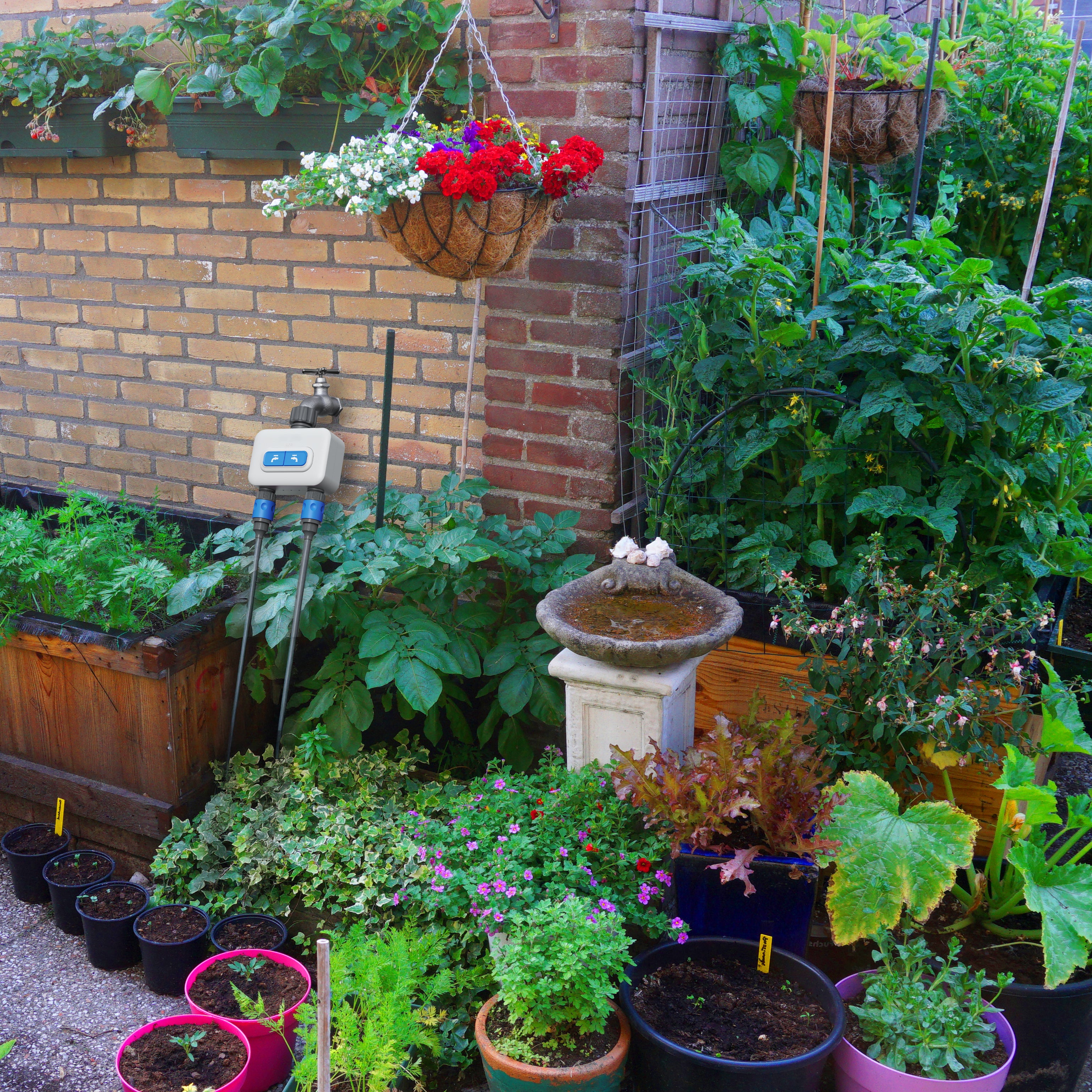 Programmateur d'arrosage connecté IA Wi-Fi - 2 voies